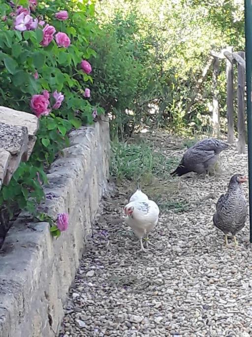 La Suite De Garlone Aujargues Esterno foto